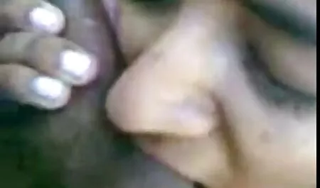 Concetti di vecchi troie armonia-esche e altre fiabe